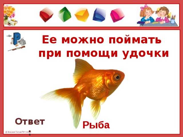 Тест рыбака: знаете ли вы наших рыб?