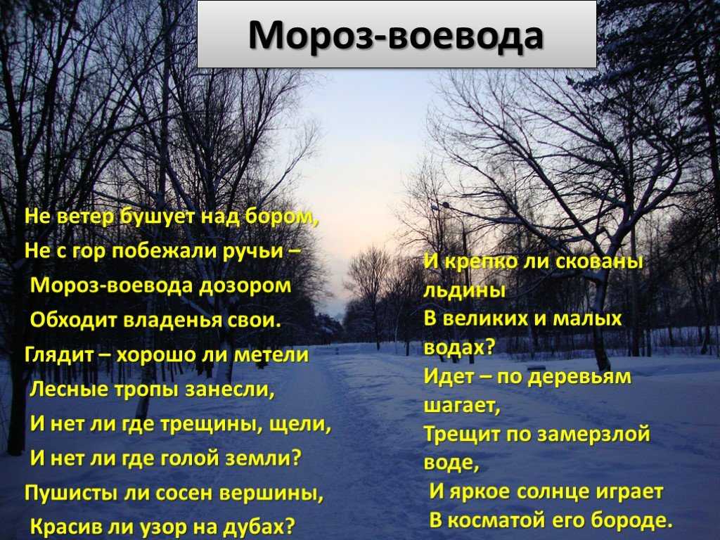 Николай некрасов — мороз, красный нос