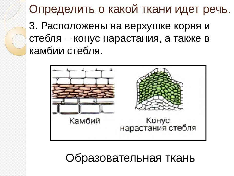 Биология