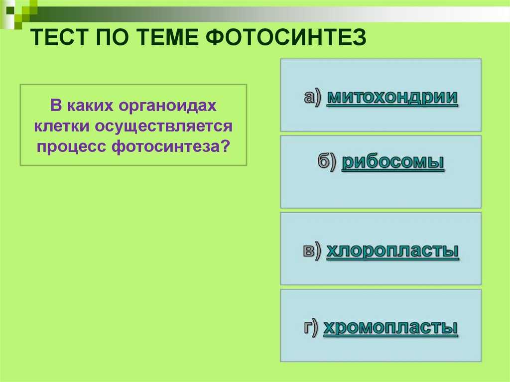 Тест по биологии для 9 класса «фотосинтез» | doc4web.ru