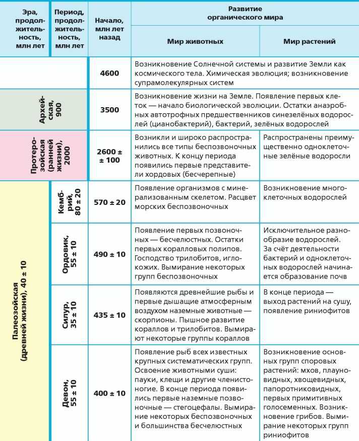 Презентация основные этапы развития животного мира на земле