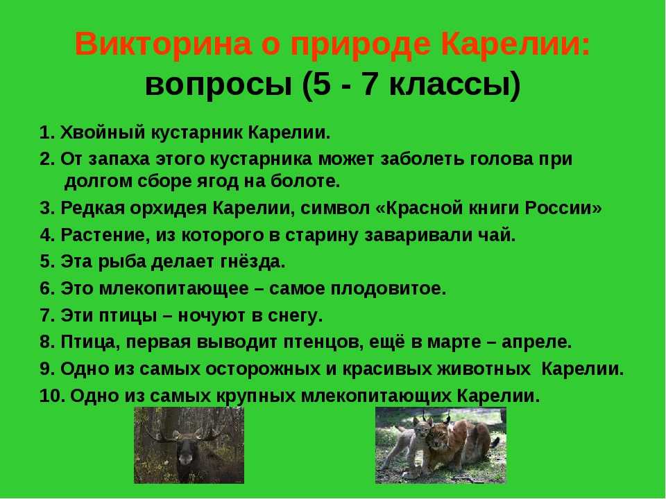 5 вопросов о россии. Вопросы о природе для детей. Вопросы для викторины про животных. Вопросы про природу.