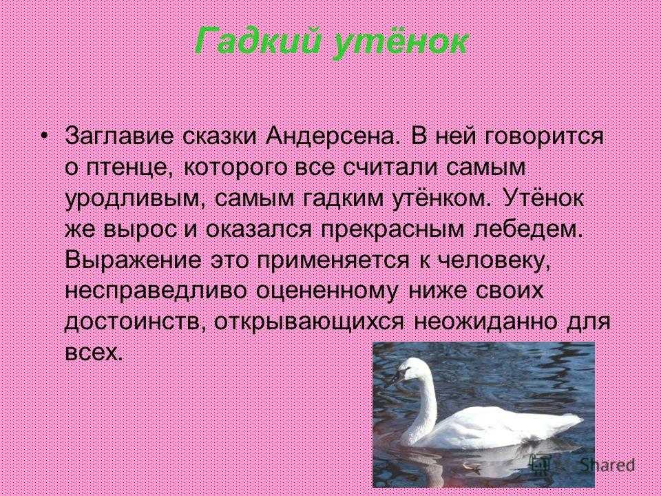 Презентация по литературе 3 класс гадкий утенок