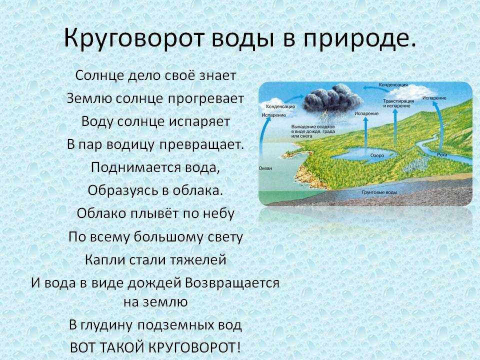 Презентация окружающий мир 2 класс плешаков про воду