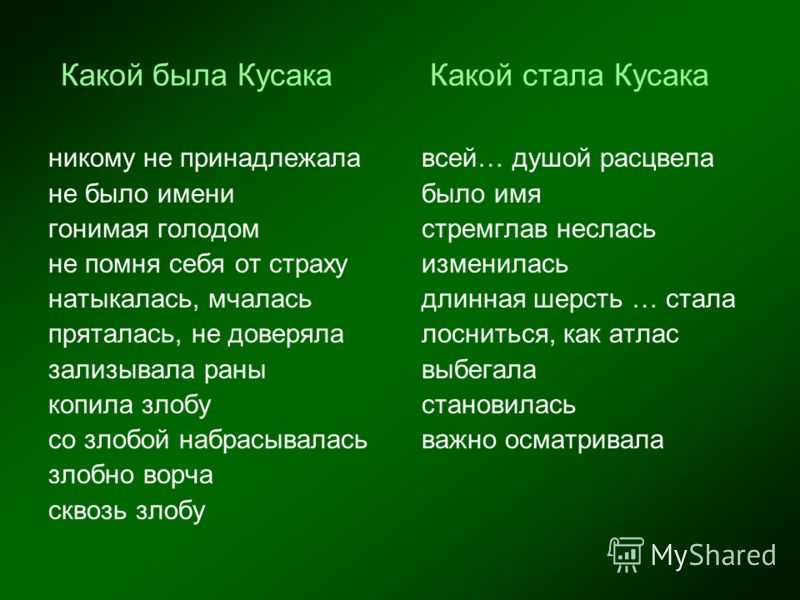 План рассказа кусака 7 класс