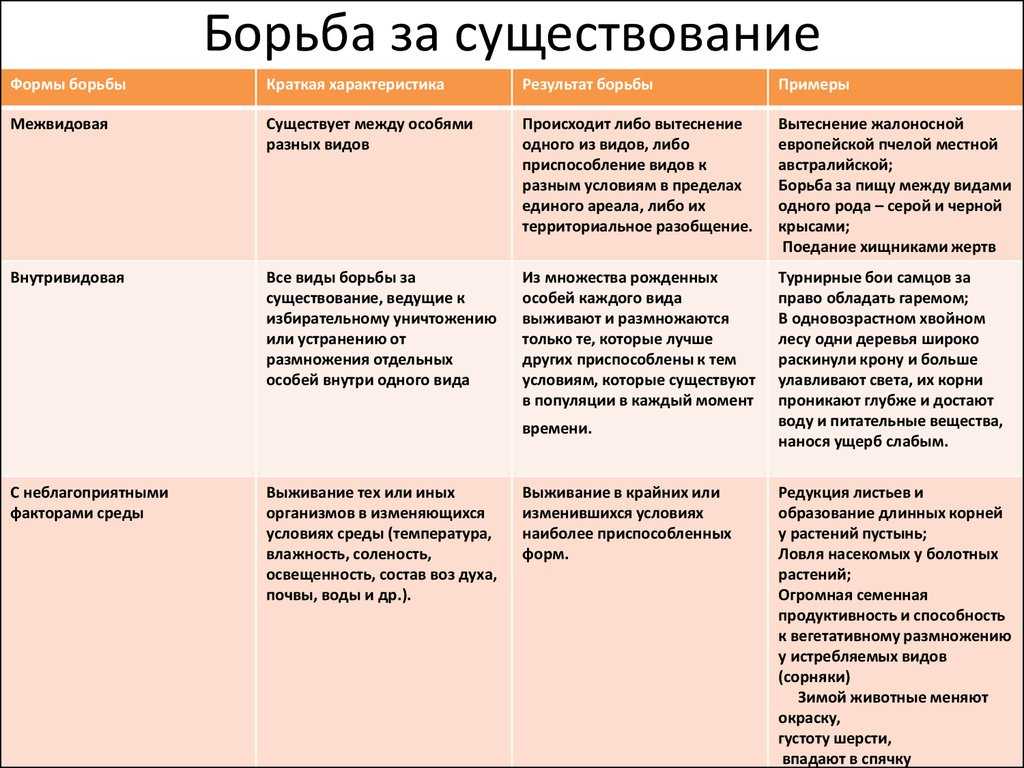 Борьба за существование и приспособление организмов проект