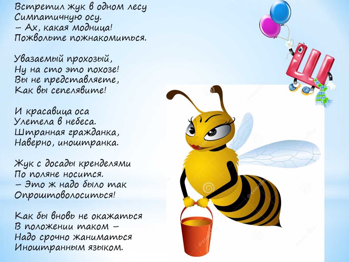 Тест на насекомых: какое я насекомое?