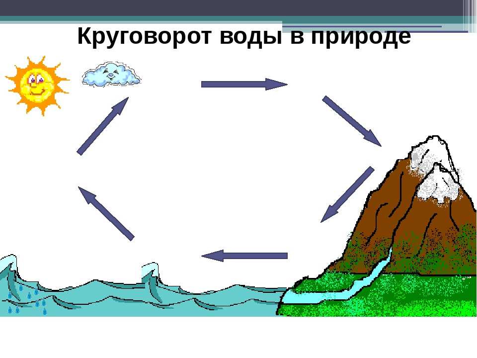 Круговорот воды в природе: информация для детей и взрослых