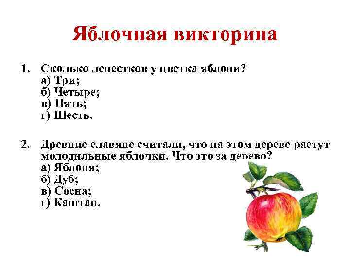82 загадки про ягоды: изучаем вкусные плоды с детьми
