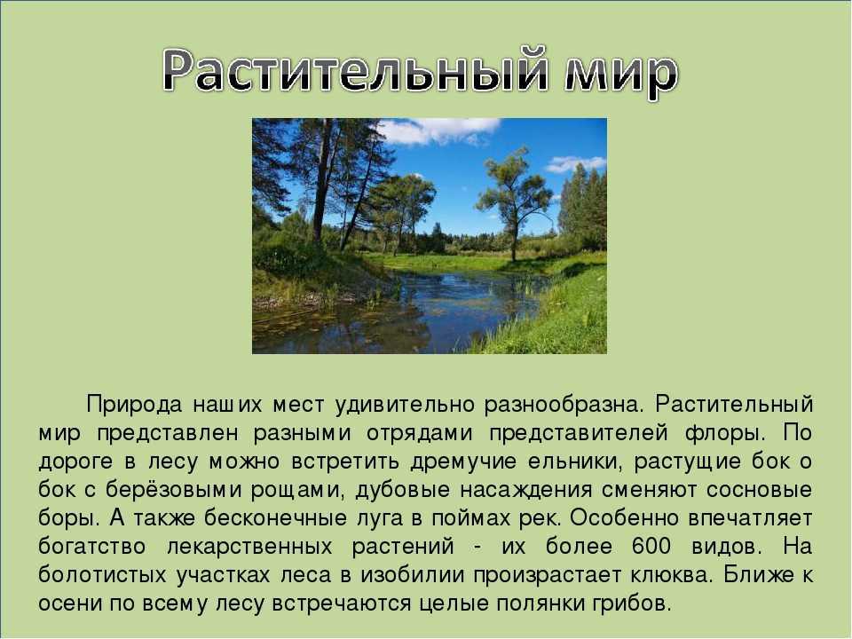 Проект реки родного края