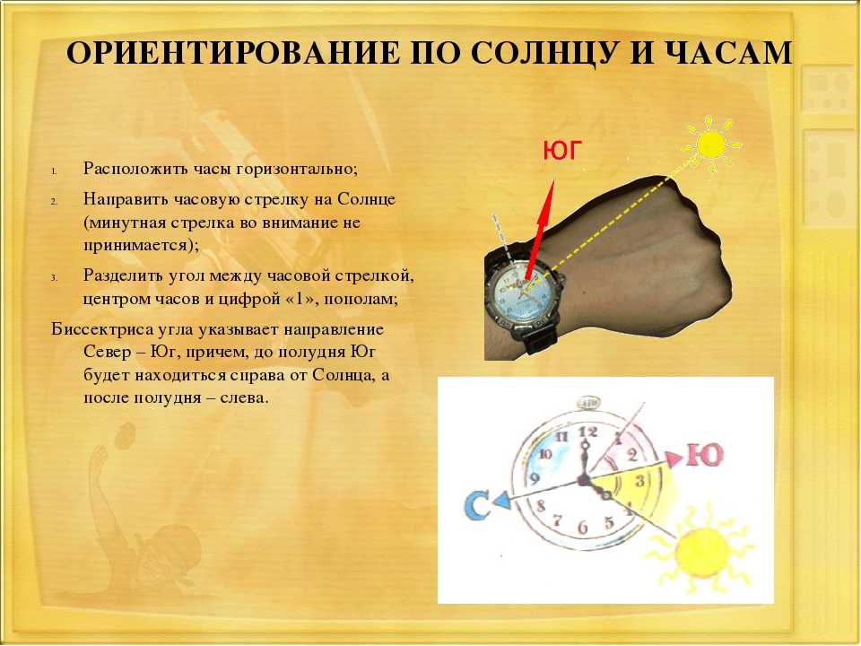 Класс ориентирование. Ориентирование по солнцу. Ориентирование на местности по солнцу и часам. Способы ориентирования по часам. Способы ориентирования по солнцу.