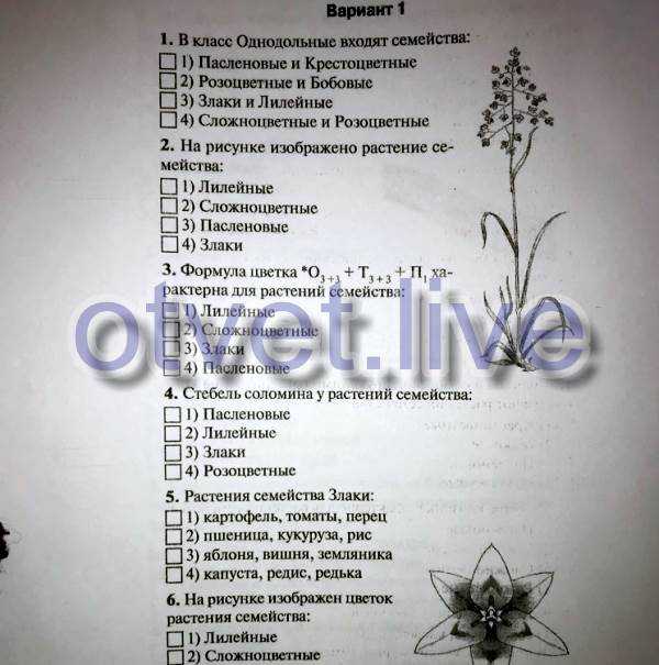 Тест по биологии по теме «химический состав клетки» | doc4web.ru