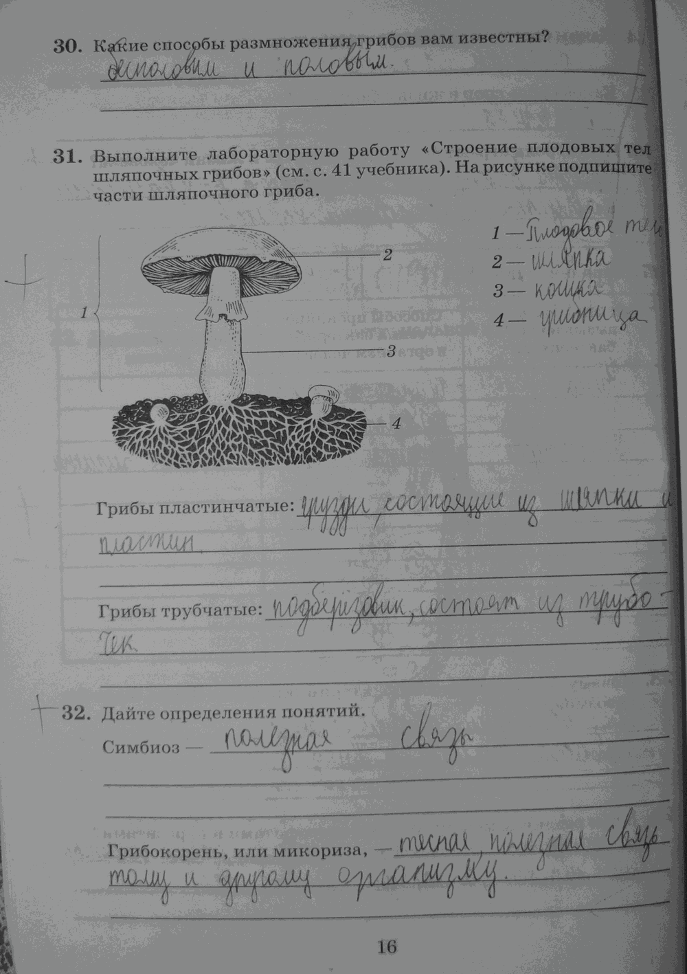 Биология 7 тест грибы