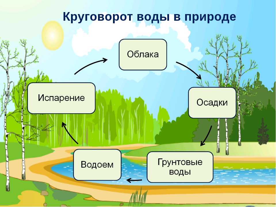 Круговорот воды в природе схема 5 класс