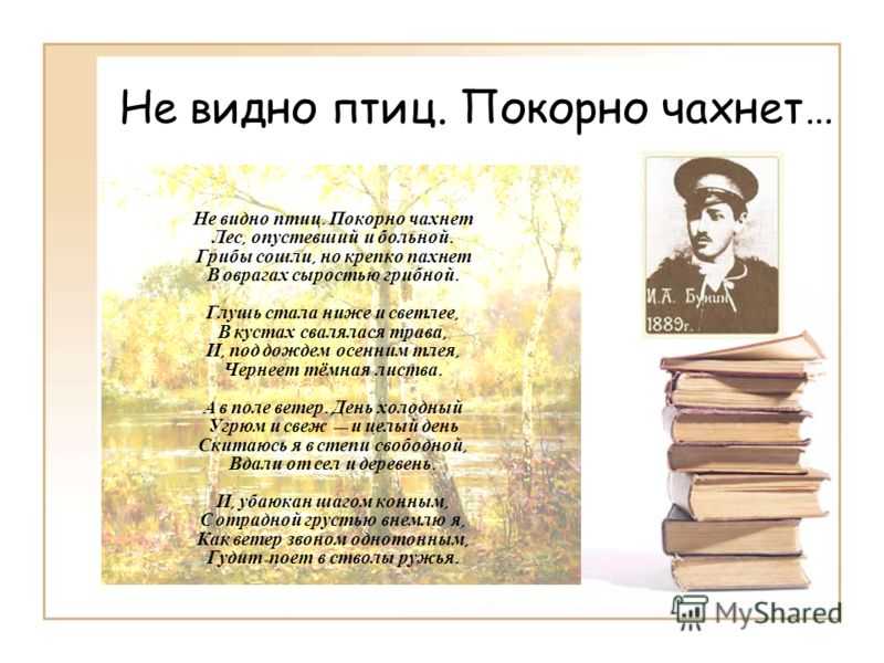 Биография бунина