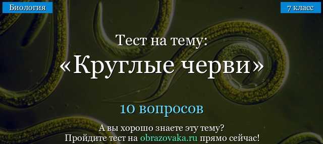 Основные сведения о беспозвоночных животных в биологии за 7 класс