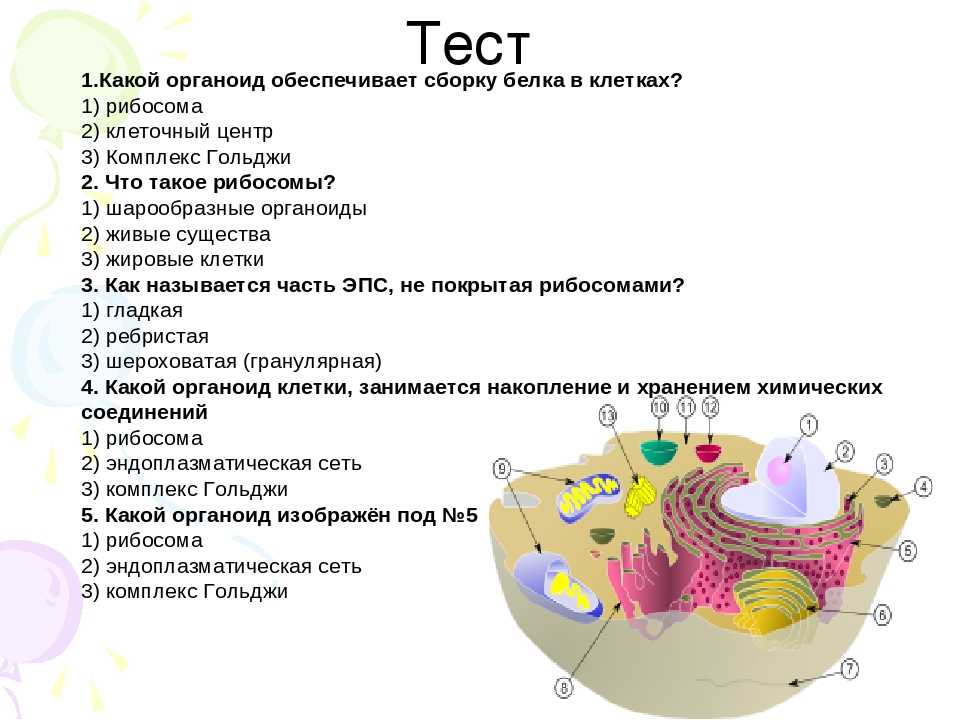 Тест на iq . проверь свой интеллект онлайн.