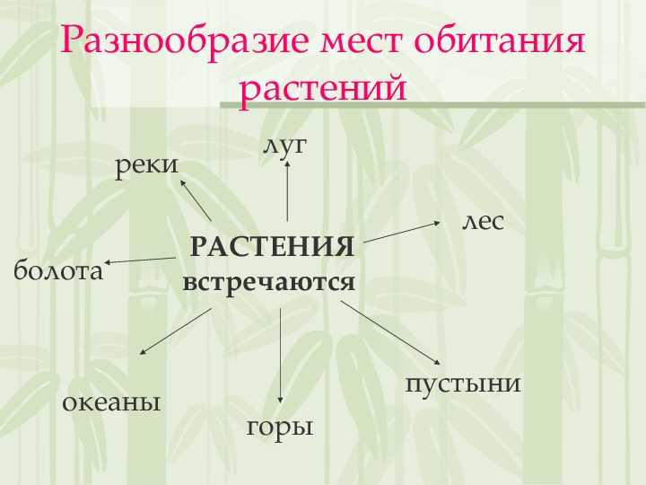 Олимпиада по окружающему миру и экологии ответы и задания