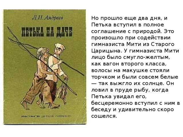 Русский и литература 865: вопросы по рассказу л.андреева «петька на даче»