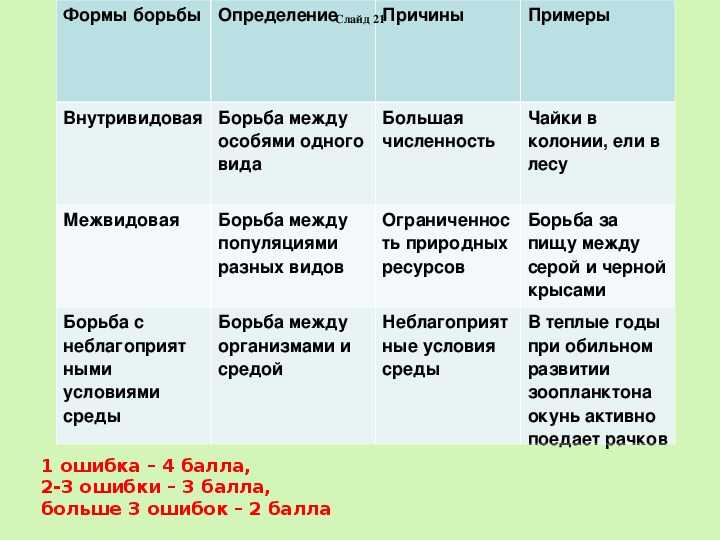 Проект борьба за существование