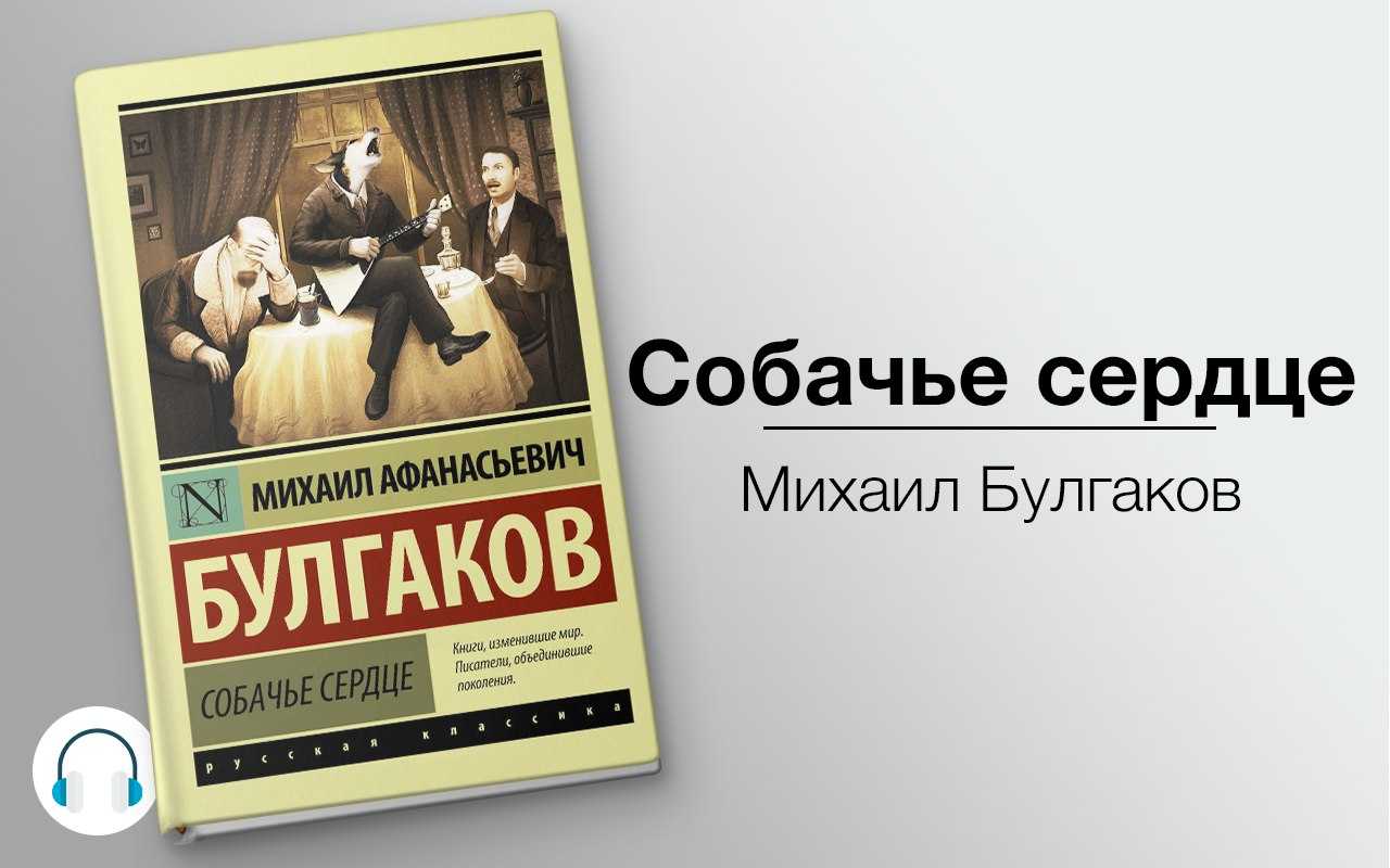 «собачье сердце» – тест онлайн по содержанию повести (30 вопросов с ответами) - русская историческая библиотека