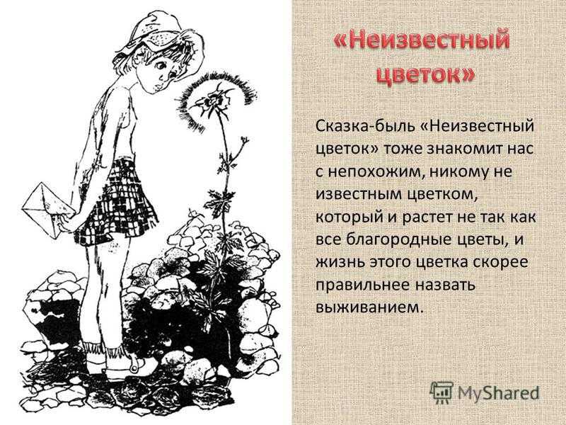 Как называется изображение картин природы в литературном произведении неизвестный цветок