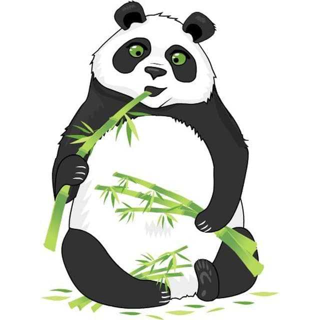 Тест о животных: 20 экзотических вопросов о пандах и бегемотах...