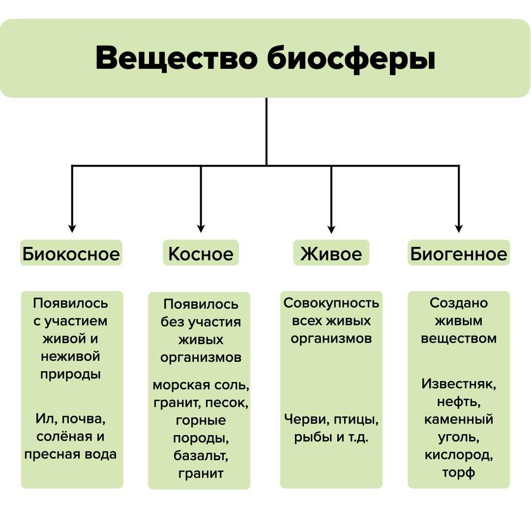 Составьте развернутый план параграфа биология 8 класс роль живых организмов в биосфере