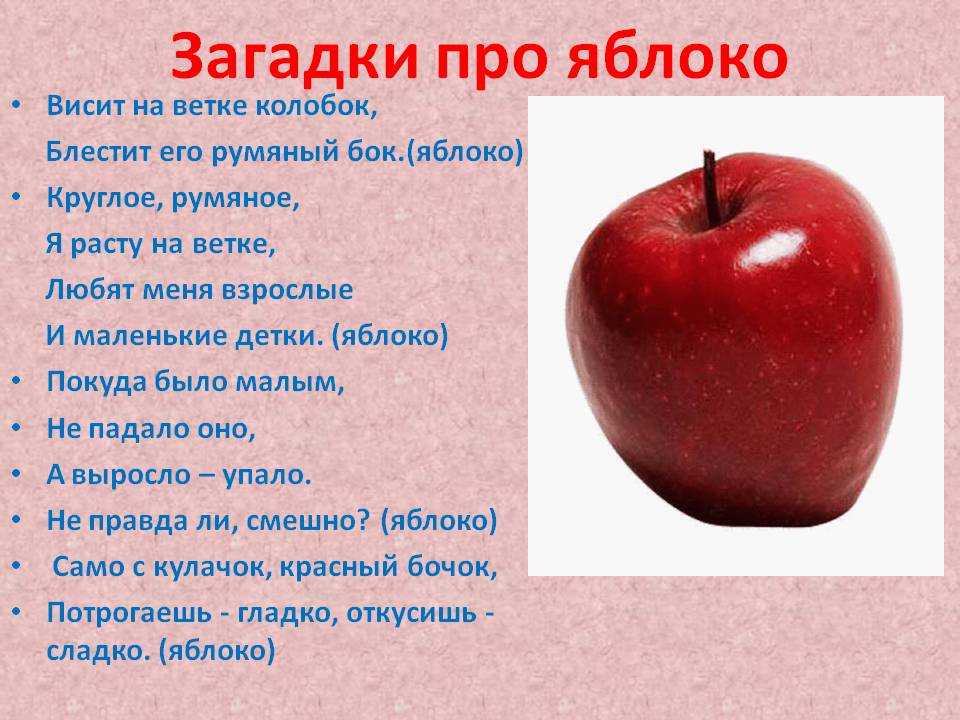 Яблоня какой класс. Загадка про яблоко. Загадка про яблоко для детей. Загадка про яблоню. Стих про яблочко для детей.