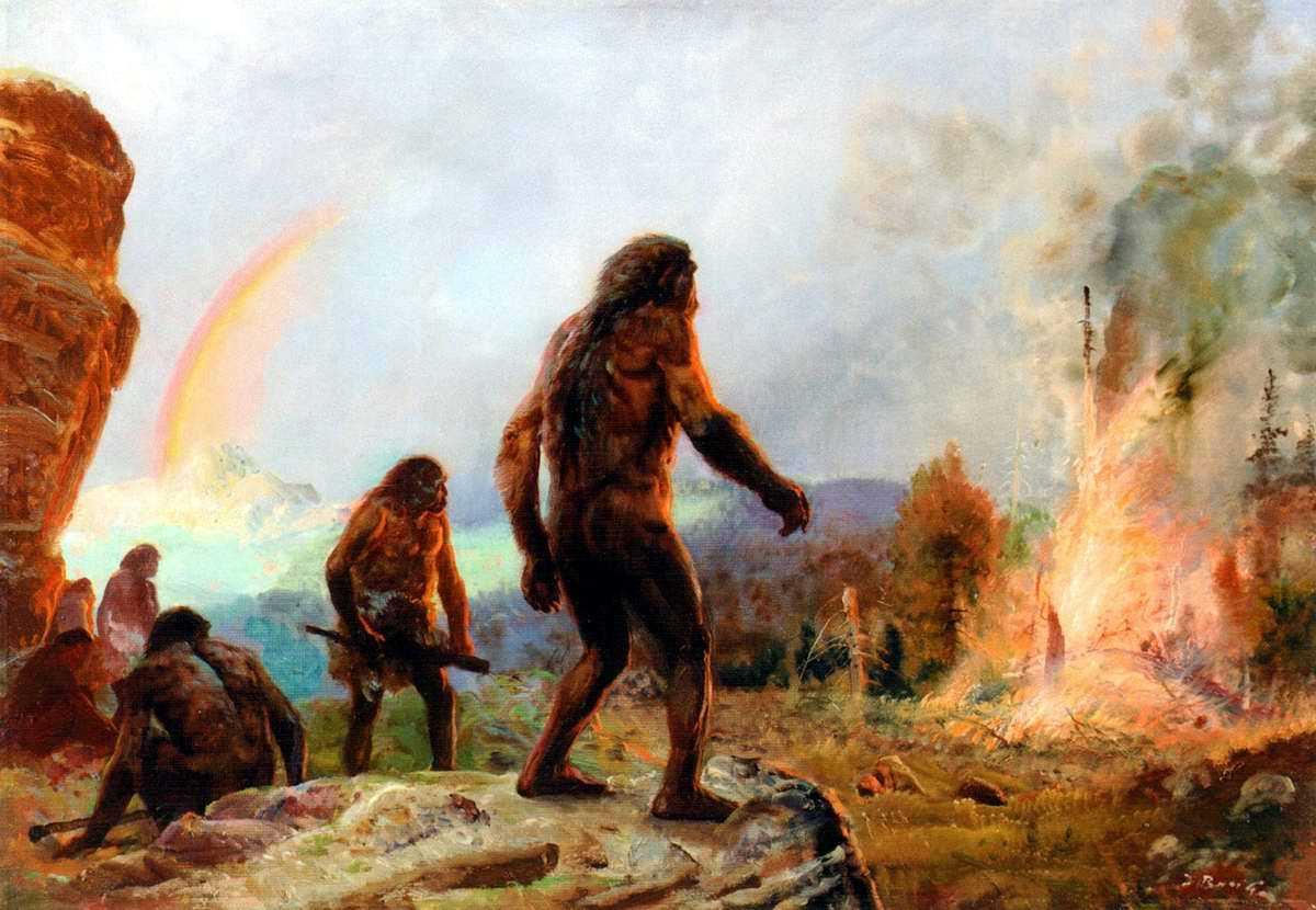 Всемирная история 5 тест 1