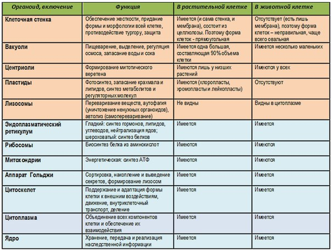 Проект в конце 9 класса по биологии