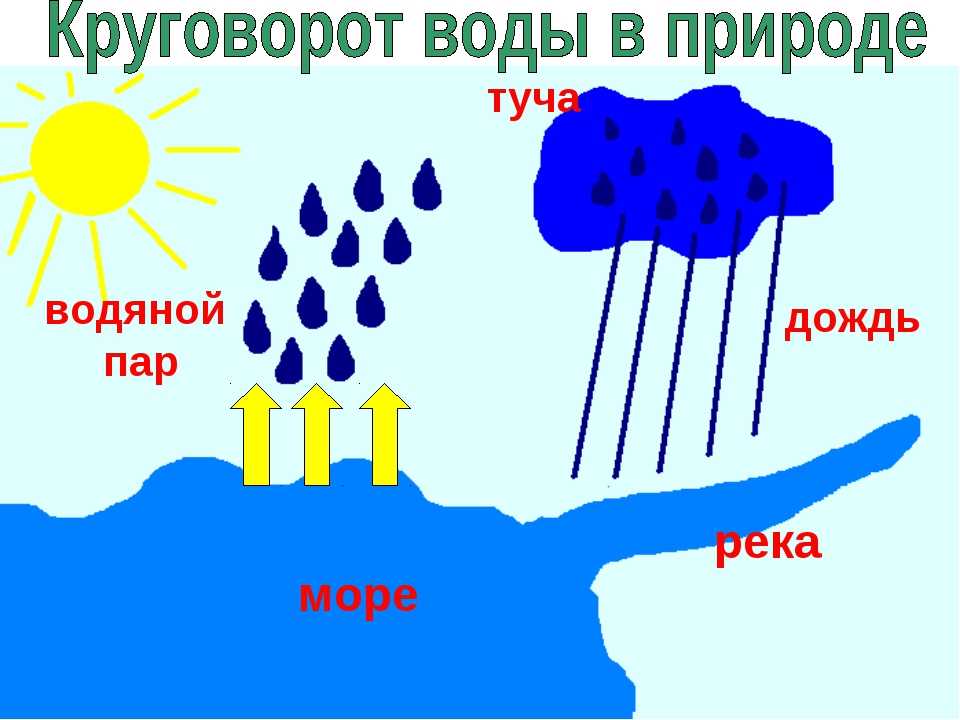 Проект 2 класс круговорот воды в природе