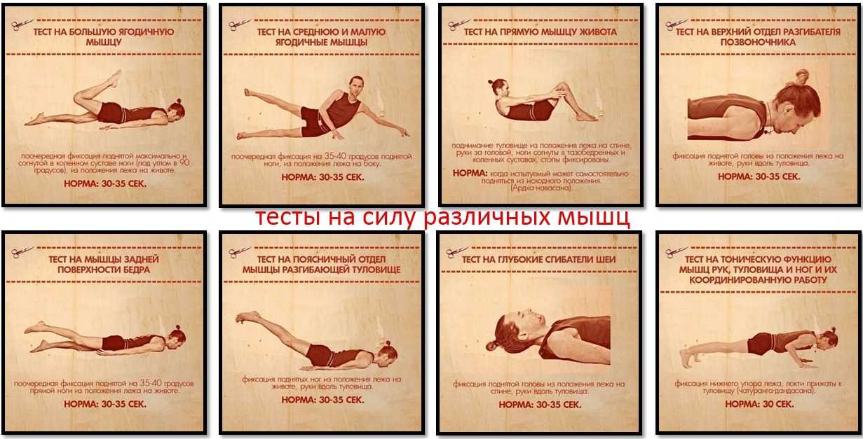 Викторина «фитнес» - pibarum.ru