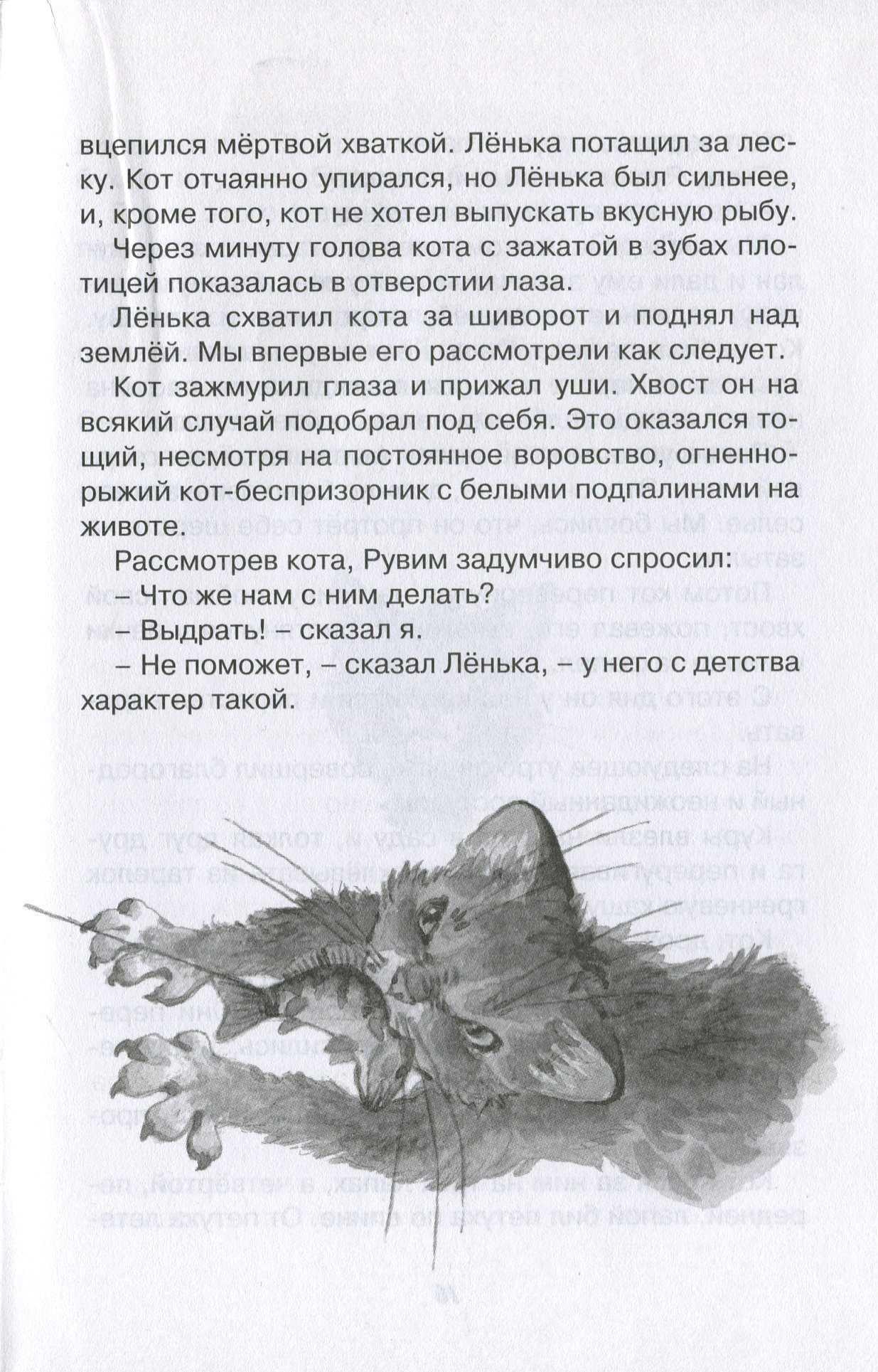 Паустовский «кот-ворюга» читать полностью весь текст бесплатно