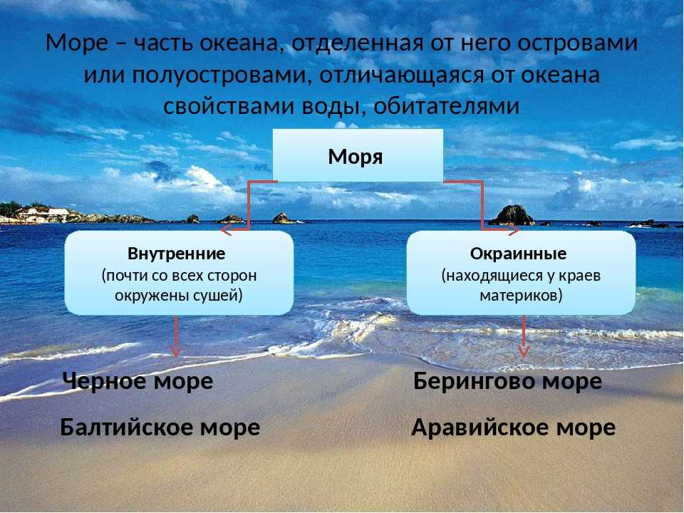 Презентация на тему мировой океан  географическая викторина