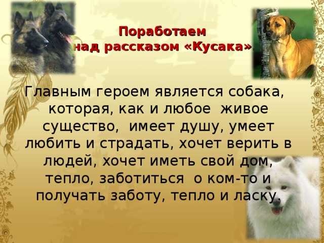 Андреев леонид - кусака