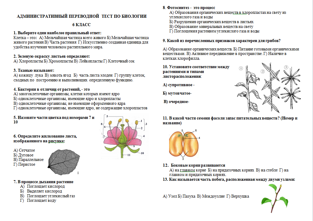 Жизнедеятельность растений 6 класс биология контрольная работа