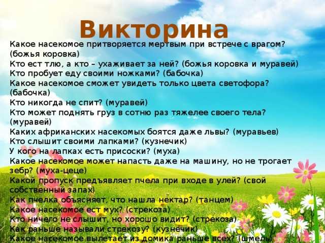 10+ лучших тестов на эрудицию и знания онлайн бесплатно