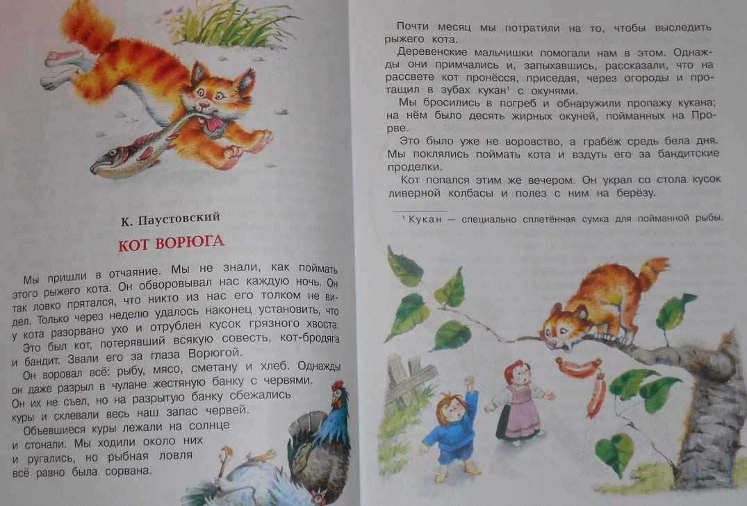 План-конспект урока по чтению (3 класс) на тему: к.г.паустовский "кот- ворюга"
