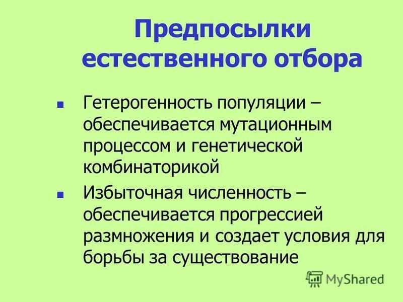 Борьба за существование и естественный отбор презентация 9 класс пасечник