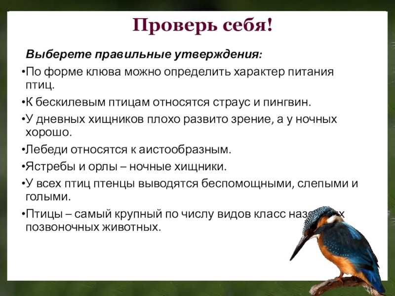 Тест по биологии класс птицы 7 класс