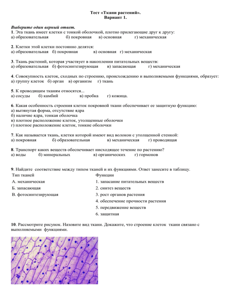 Тест ткани 6 класс биология