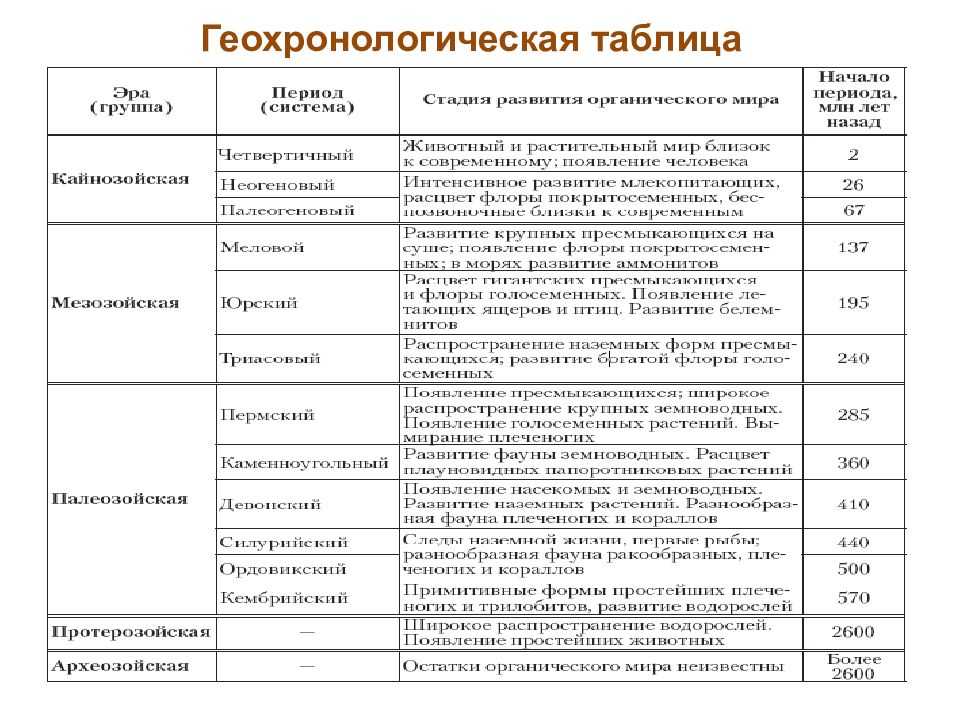 Кайнозойская ⭐ эра: определение, как развивалась жизнь в кайнозое