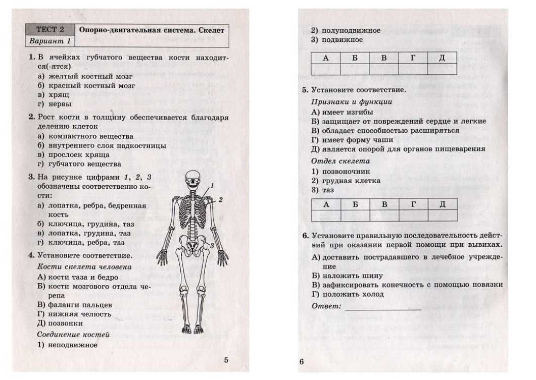 Тест по теме индивидуальный проект 10 класс