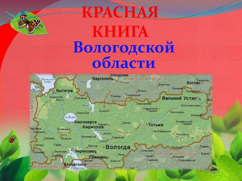 Ответы на викторину вологодчина наш выбор правильные. Красная книга Вологодской области обложка. Красная книга Вологодской области животные и растения. Растения и животные Вологодской области занесенные в красную книгу. Животные красной книги Вологодской области.