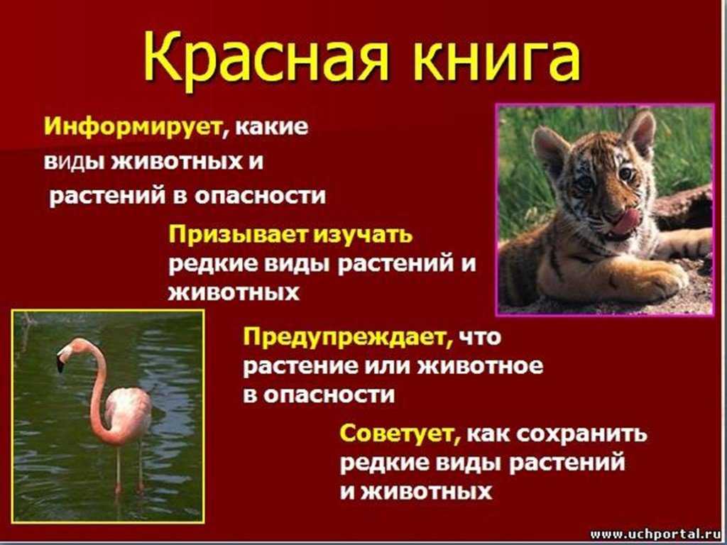 "красная" викторина