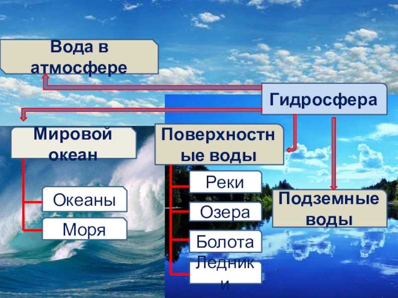 Мировой океан 1 6 класс презентация полярная звезда