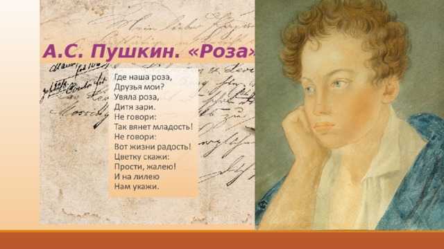 Александр пушкин — соловей и роза — стихочудовище