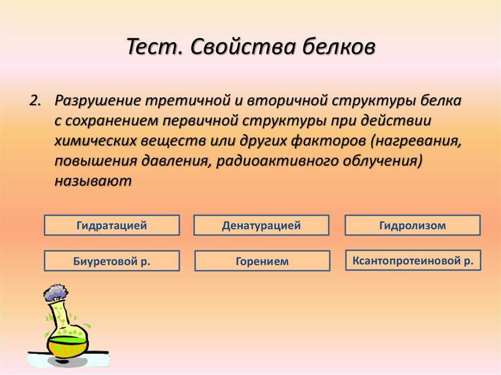 Тест по белкам. Разрушение белков. Разрушение третичной и вторичной структуры белков. Разрушение структуры белка. Процесс разрушения белков.