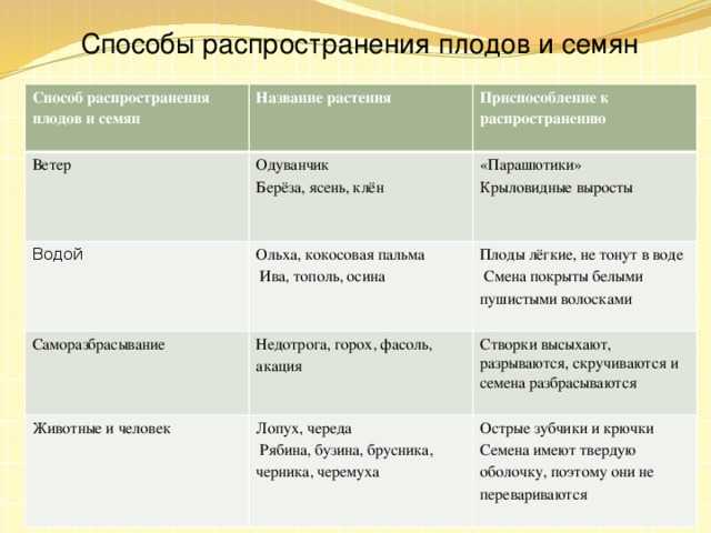 Тест на всхожесть семян в стакане с водой — работает или нет? фото — ботаничка